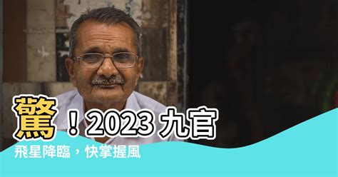 九官飛星 2023